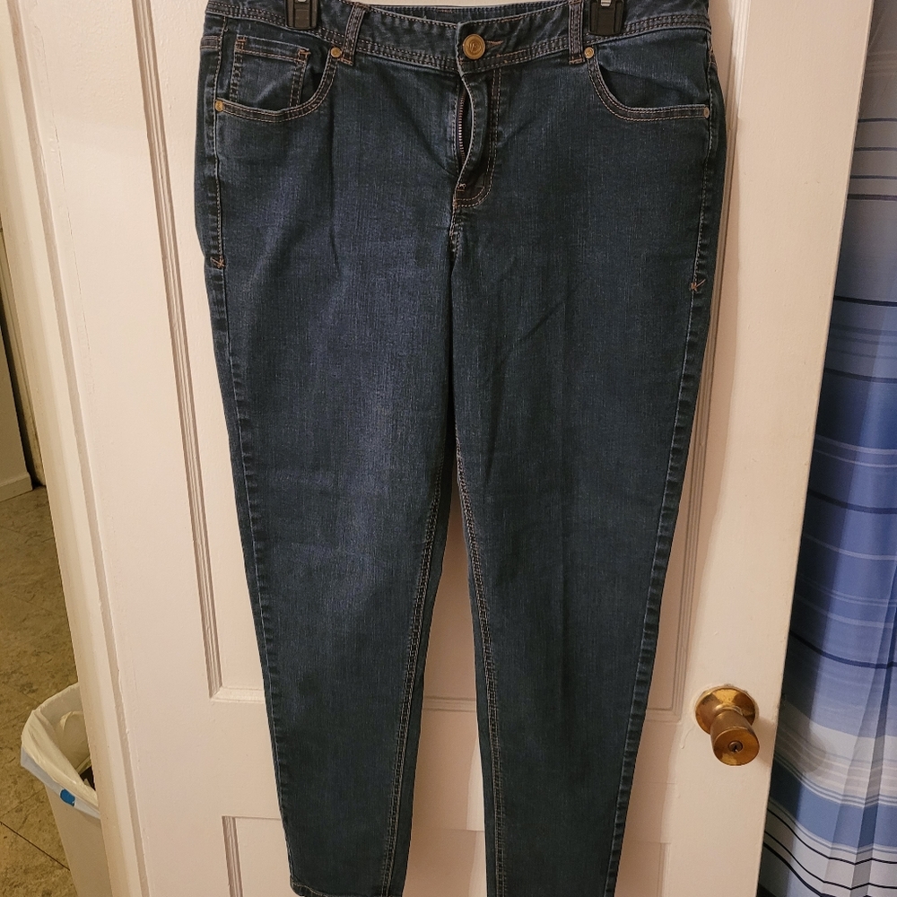 Lane Bryant Skinney Jeans 16